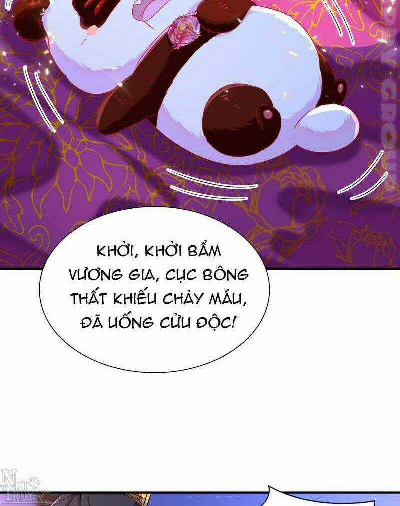 Thiên Thần Gấu Trúc Muốn Được Ôm Chapter 52 trang 14