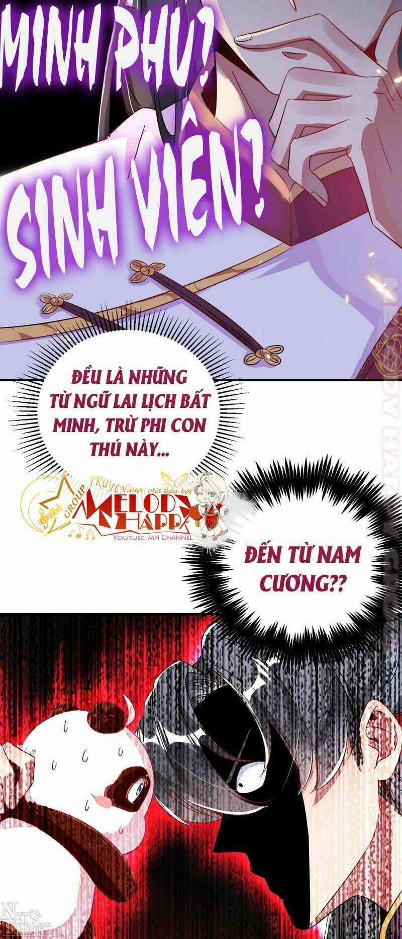 Thiên Thần Gấu Trúc Muốn Được Ôm Chapter 55 trang 19