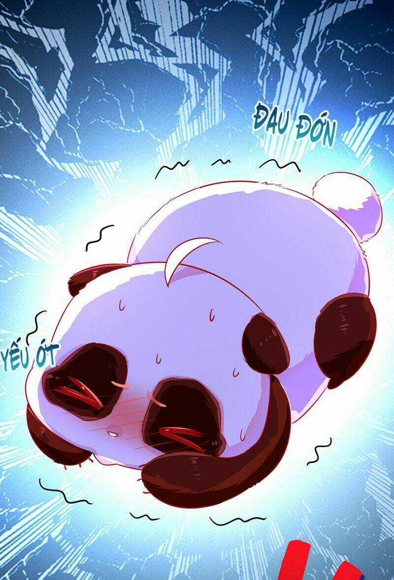 Thiên Thần Gấu Trúc Muốn Được Ôm Chapter 57 trang 15