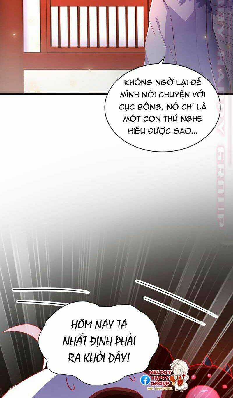 Thiên Thần Gấu Trúc Muốn Được Ôm Chapter 59 trang 11