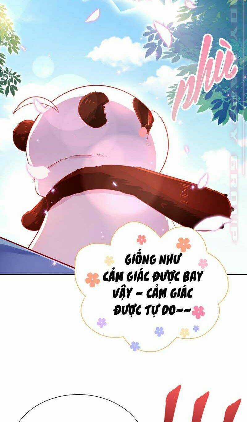 Thiên Thần Gấu Trúc Muốn Được Ôm Chapter 59 trang 15