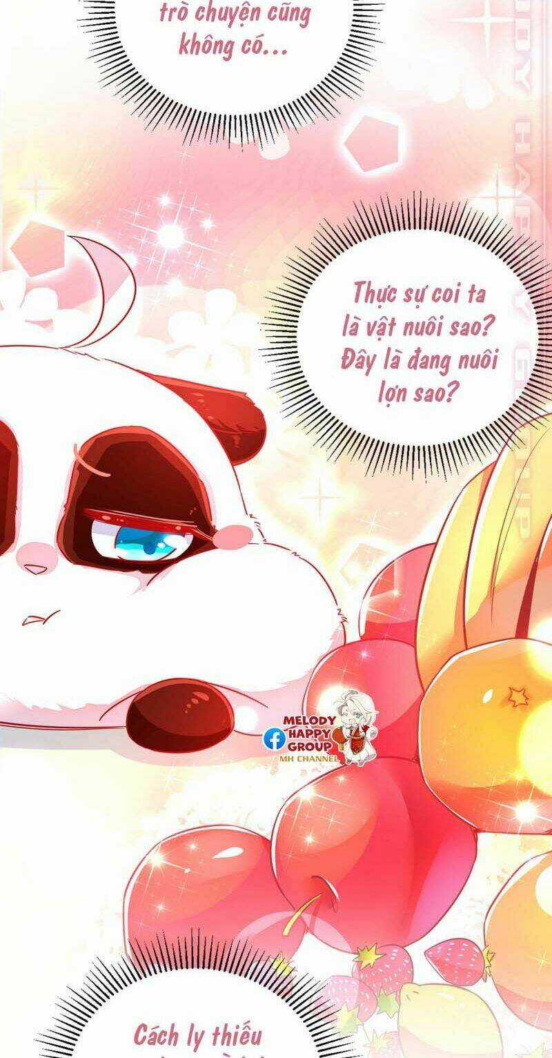 Thiên Thần Gấu Trúc Muốn Được Ôm Chapter 59 trang 3