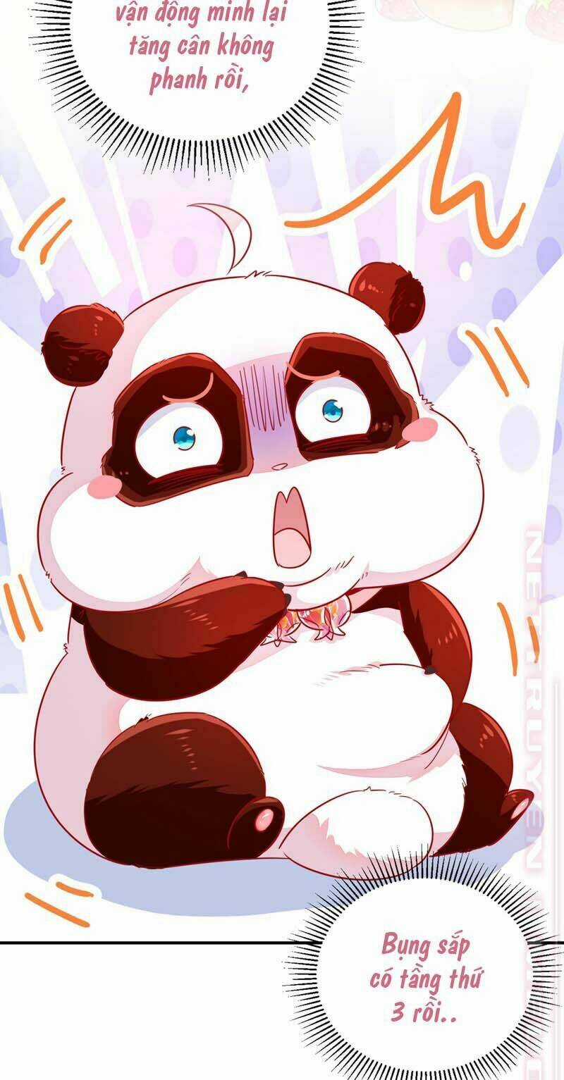 Thiên Thần Gấu Trúc Muốn Được Ôm Chapter 59 trang 4