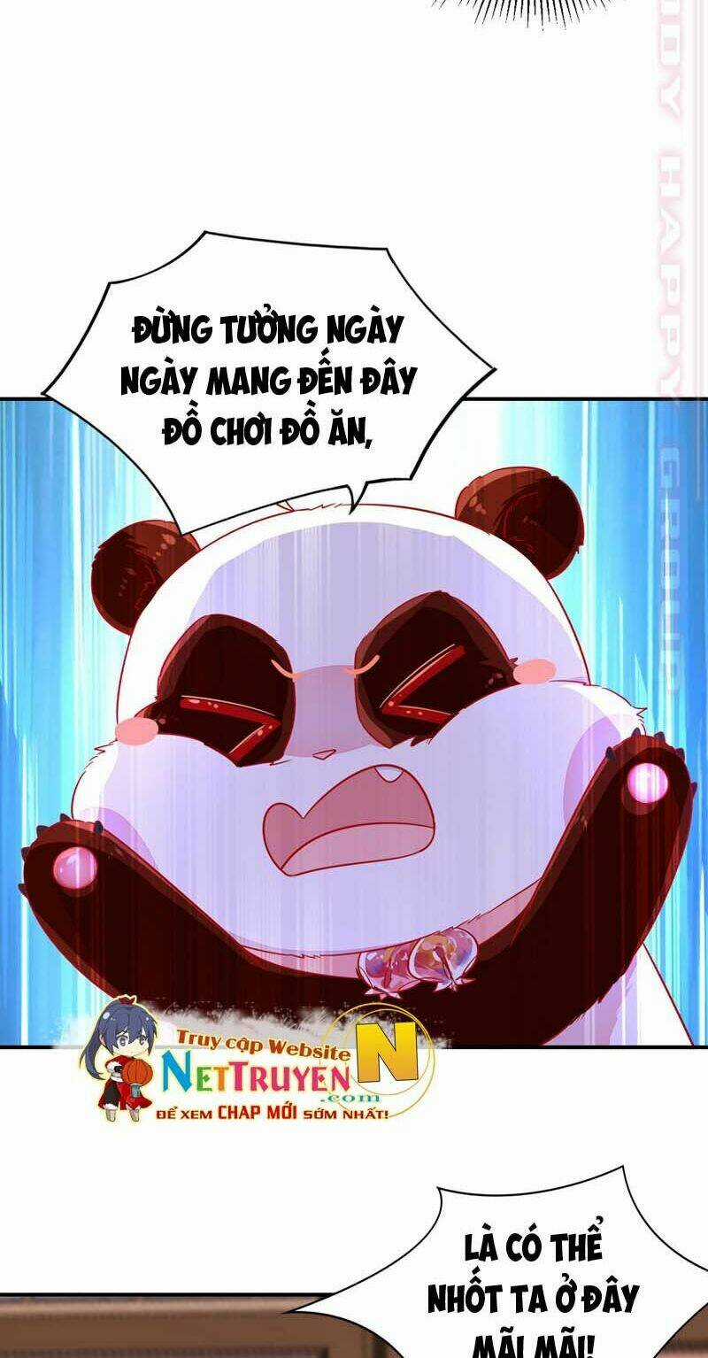 Thiên Thần Gấu Trúc Muốn Được Ôm Chapter 59 trang 5