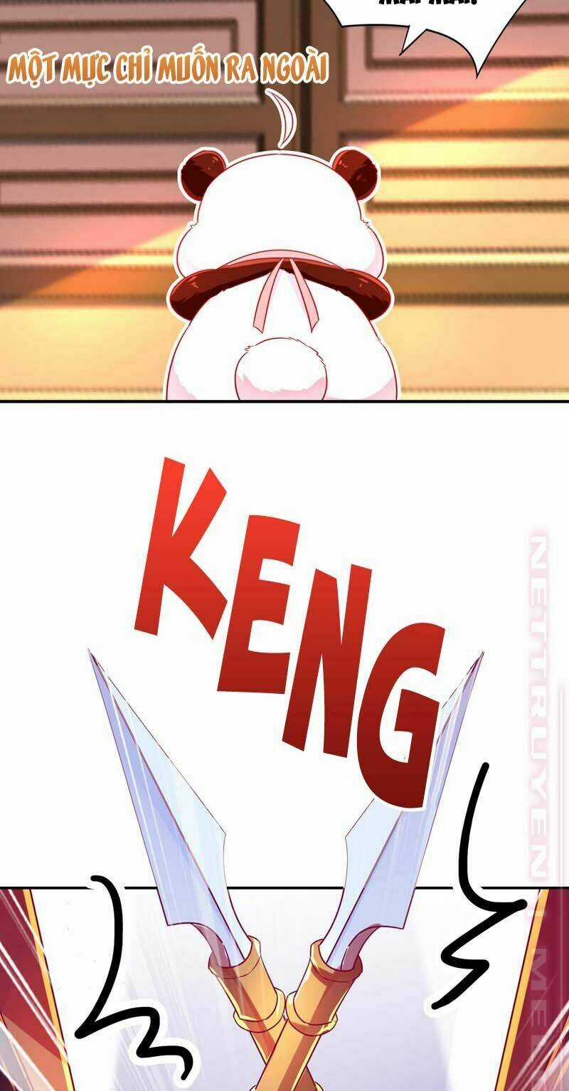 Thiên Thần Gấu Trúc Muốn Được Ôm Chapter 59 trang 6