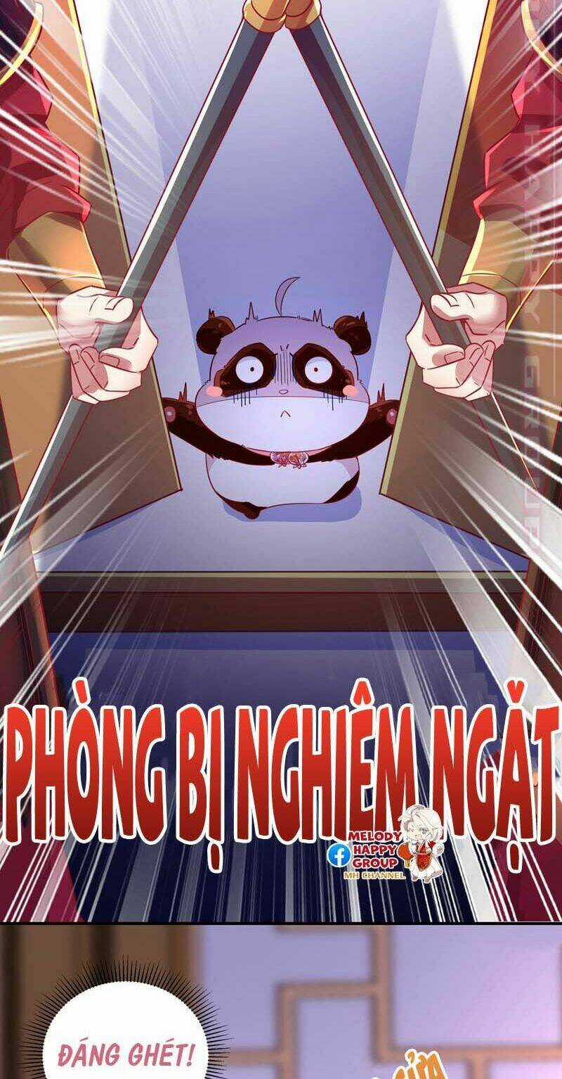 Thiên Thần Gấu Trúc Muốn Được Ôm Chapter 59 trang 7