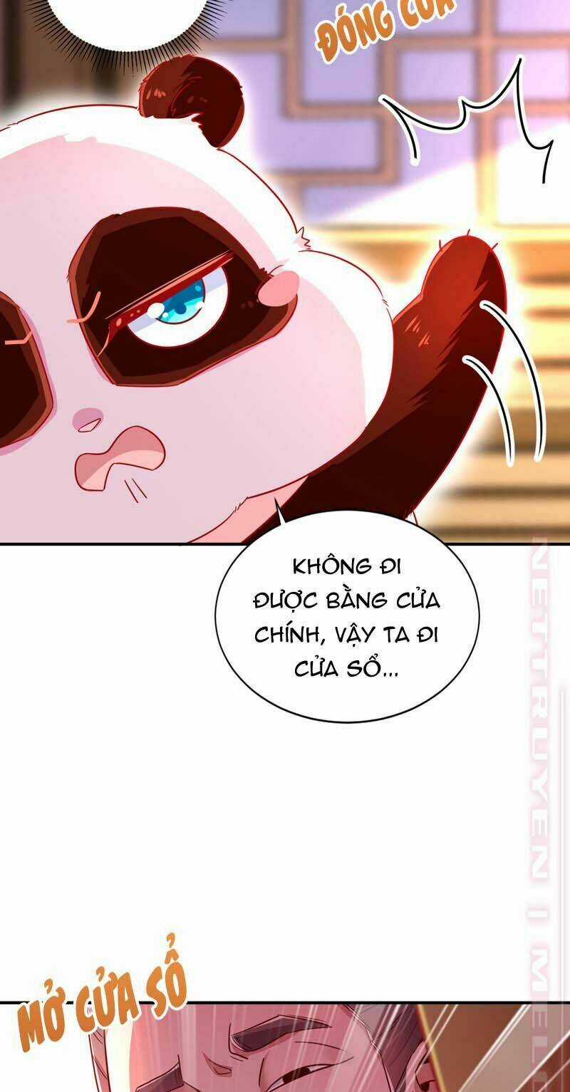 Thiên Thần Gấu Trúc Muốn Được Ôm Chapter 59 trang 8