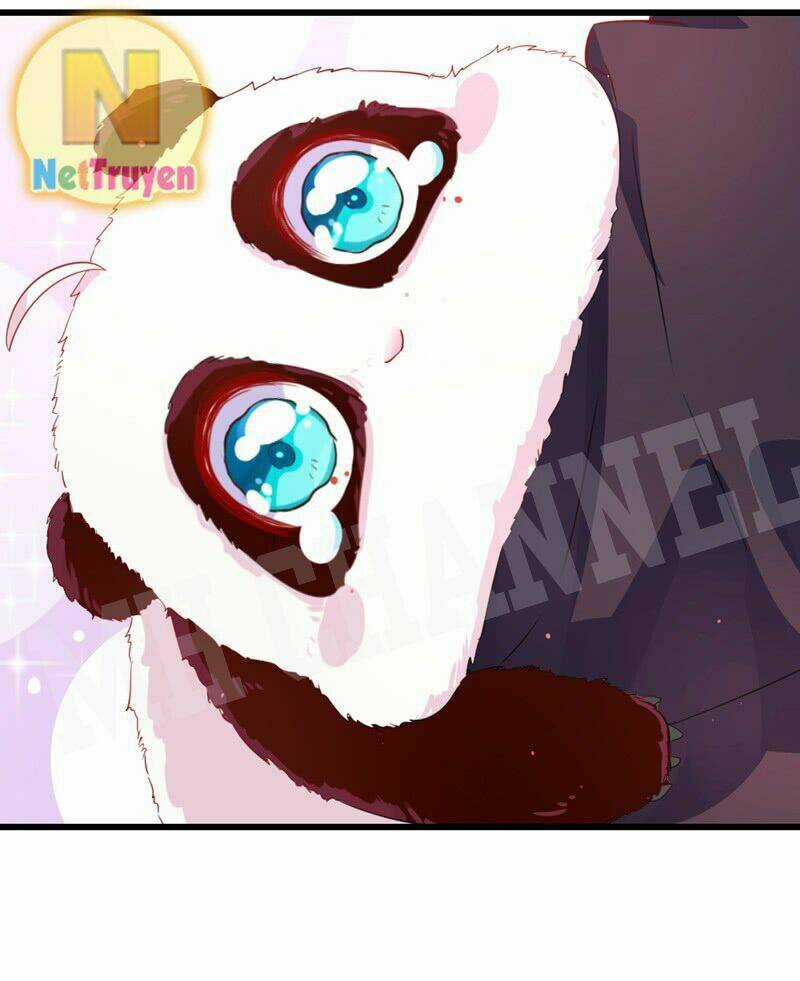 Thiên Thần Gấu Trúc Muốn Được Ôm Chapter 6 trang 11