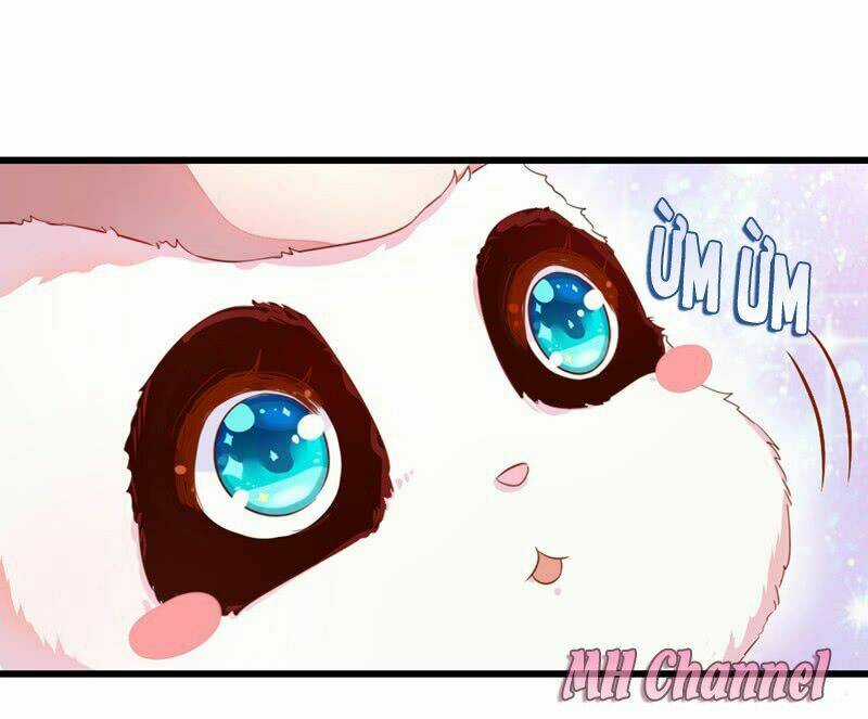 Thiên Thần Gấu Trúc Muốn Được Ôm Chapter 6 trang 14