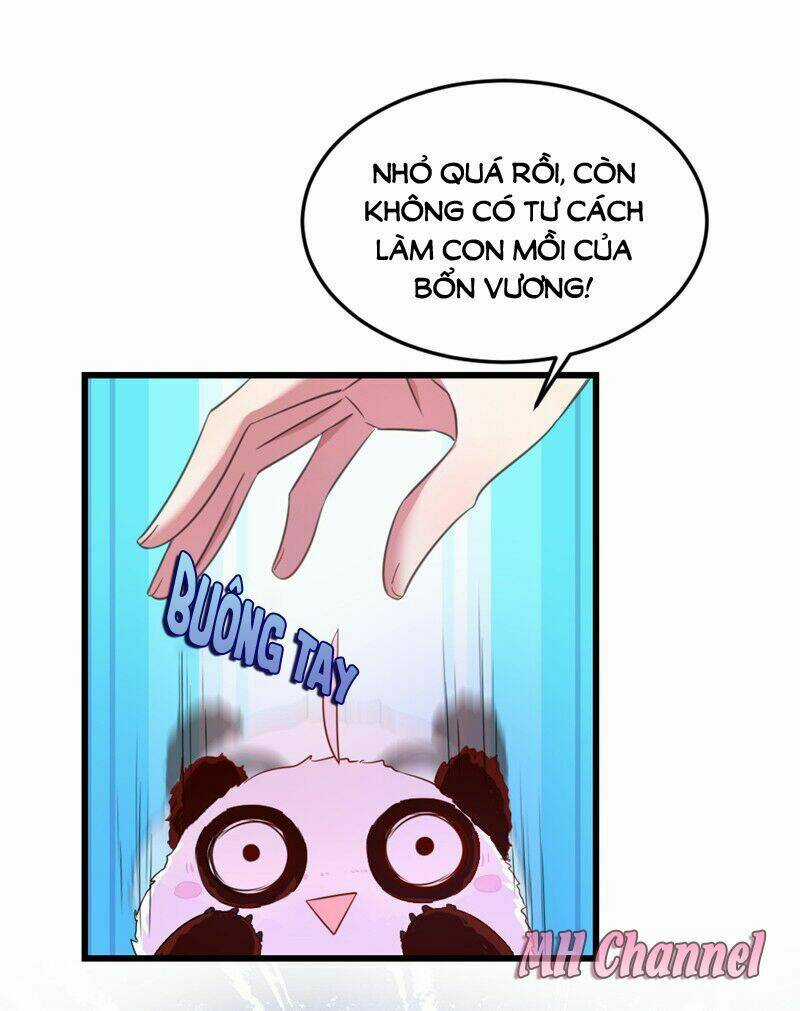 Thiên Thần Gấu Trúc Muốn Được Ôm Chapter 6 trang 3