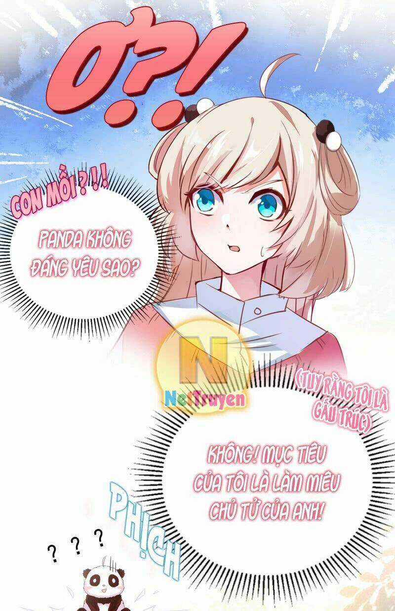 Thiên Thần Gấu Trúc Muốn Được Ôm Chapter 6 trang 4