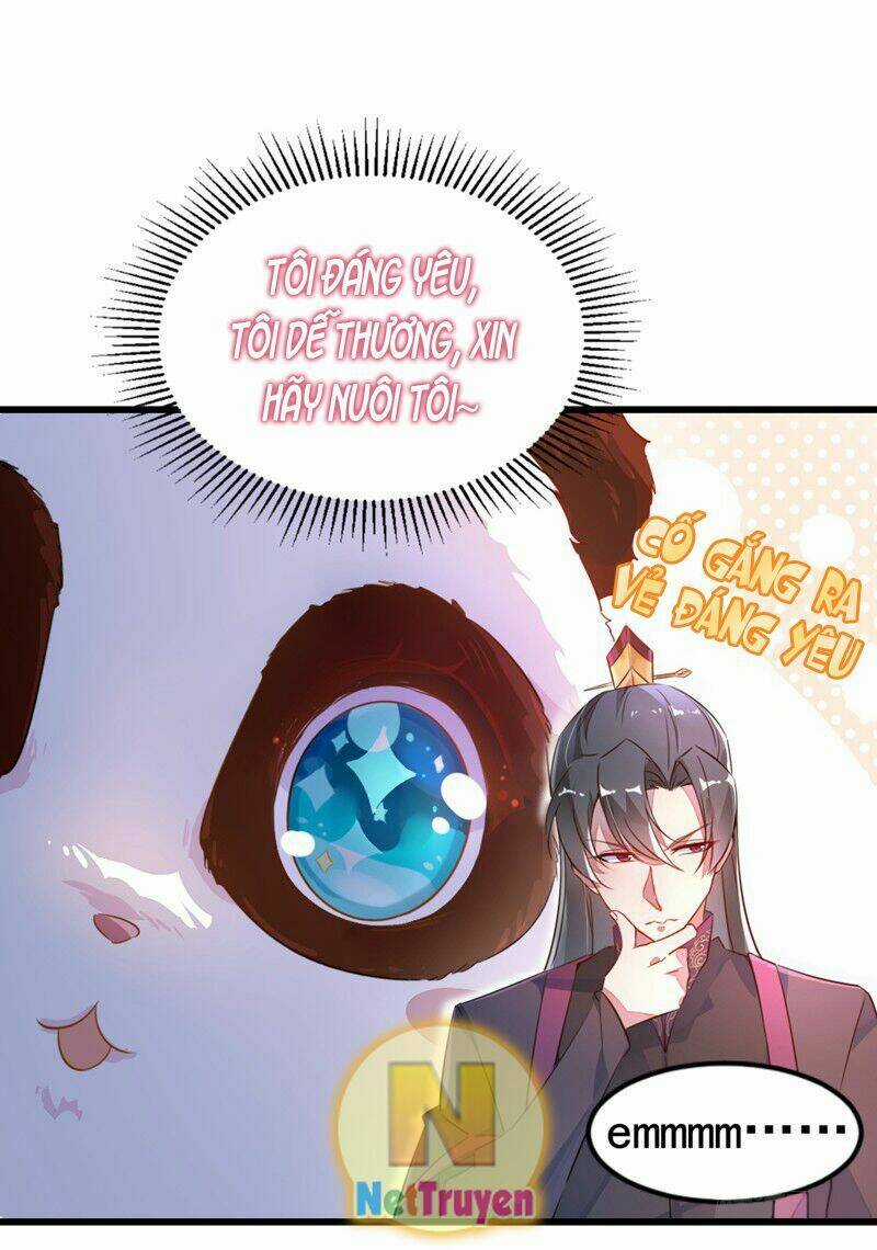 Thiên Thần Gấu Trúc Muốn Được Ôm Chapter 6 trang 9