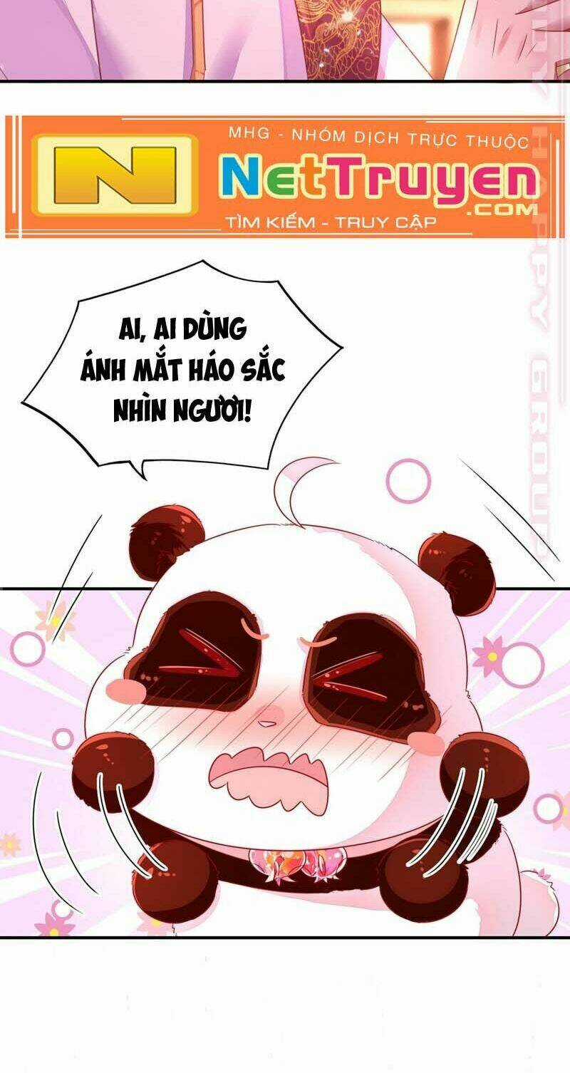 Thiên Thần Gấu Trúc Muốn Được Ôm Chapter 61 trang 11