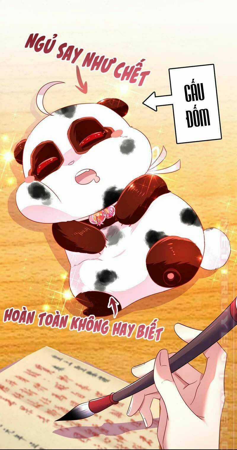 Thiên Thần Gấu Trúc Muốn Được Ôm Chapter 62 trang 13