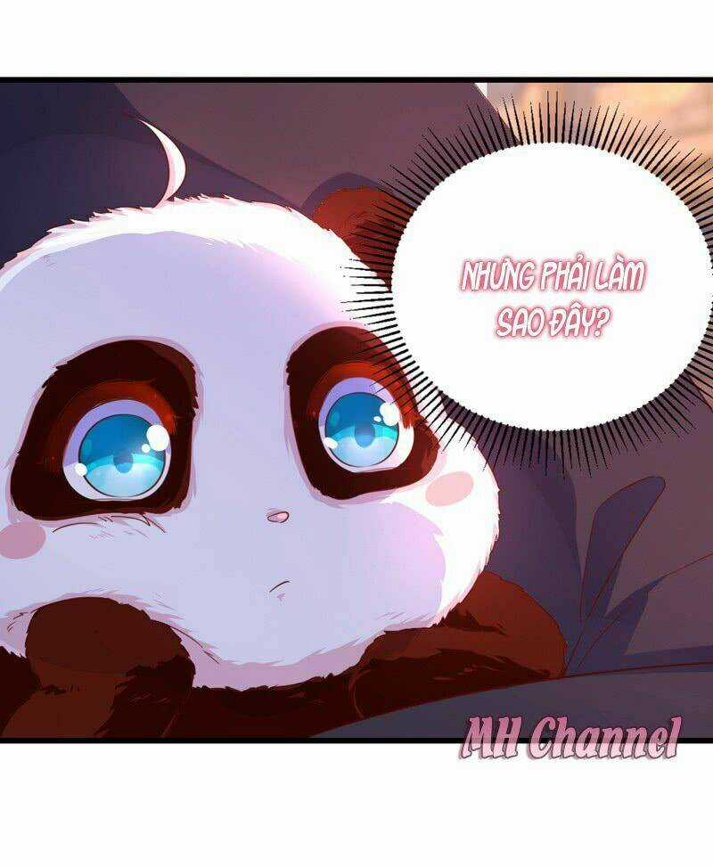 Thiên Thần Gấu Trúc Muốn Được Ôm Chapter 7 trang 19