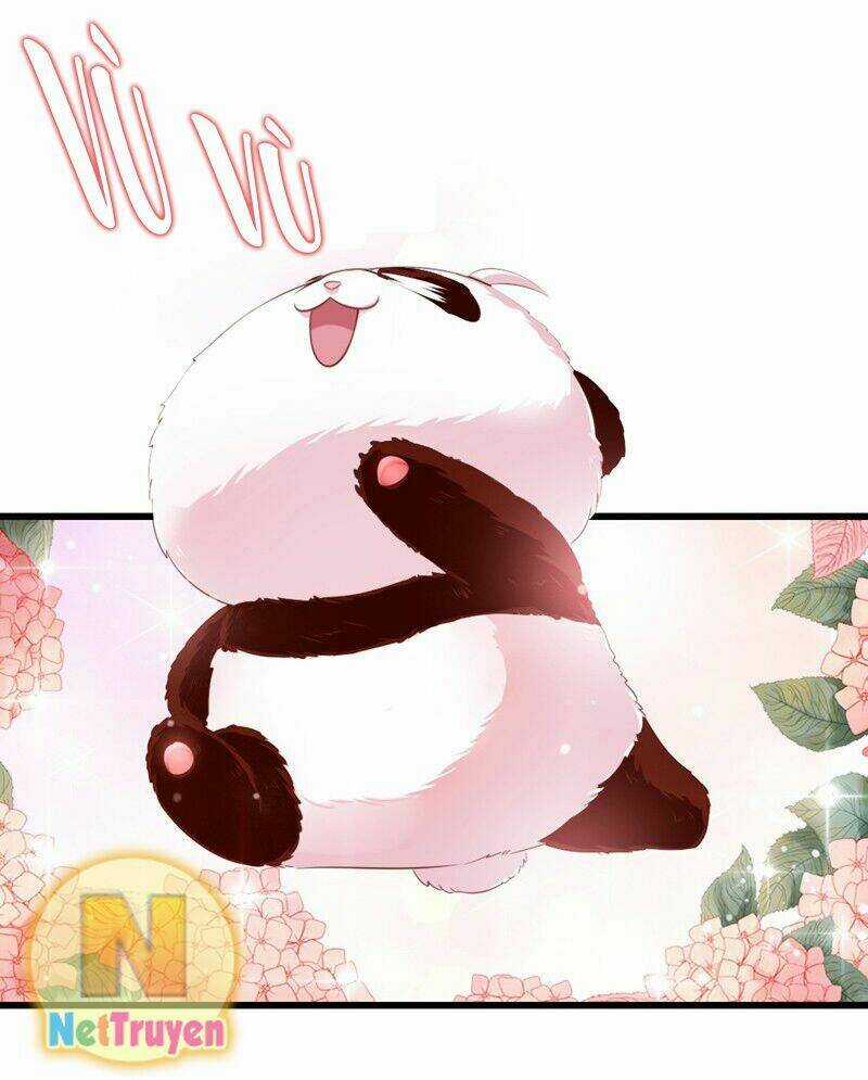 Thiên Thần Gấu Trúc Muốn Được Ôm Chapter 8 trang 6