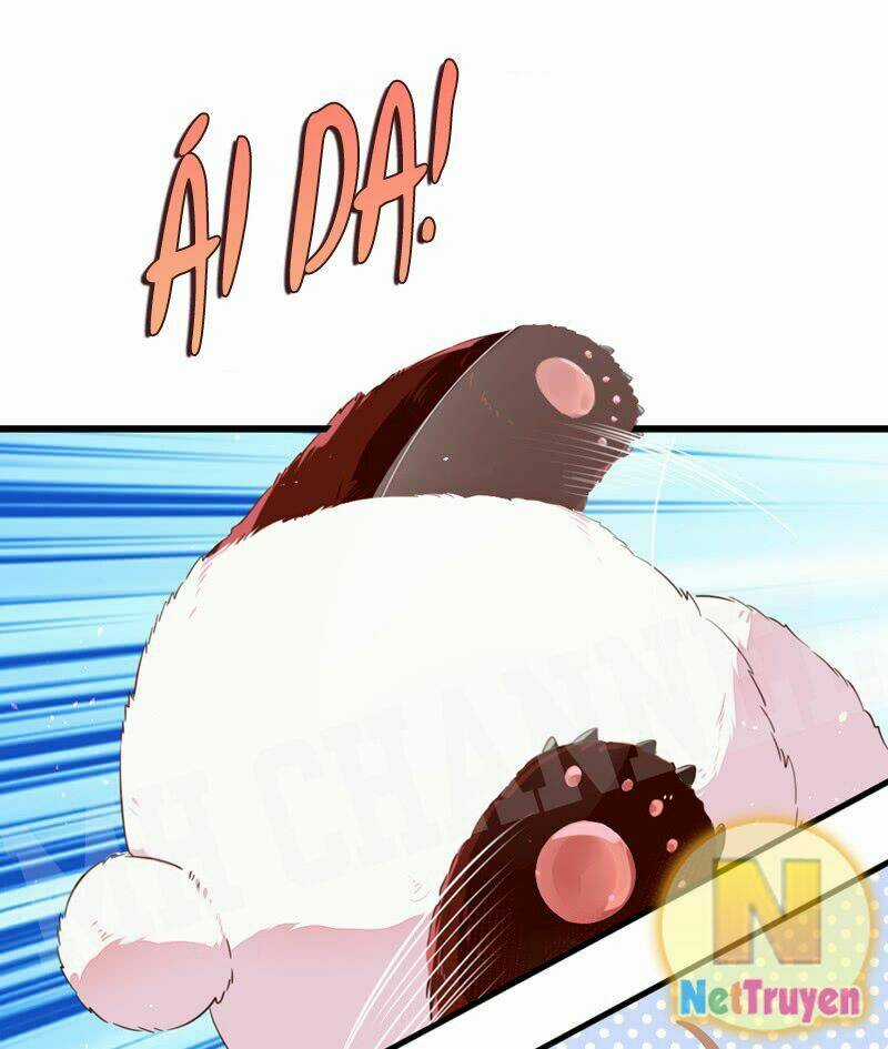 Thiên Thần Gấu Trúc Muốn Được Ôm Chapter 8 trang 8