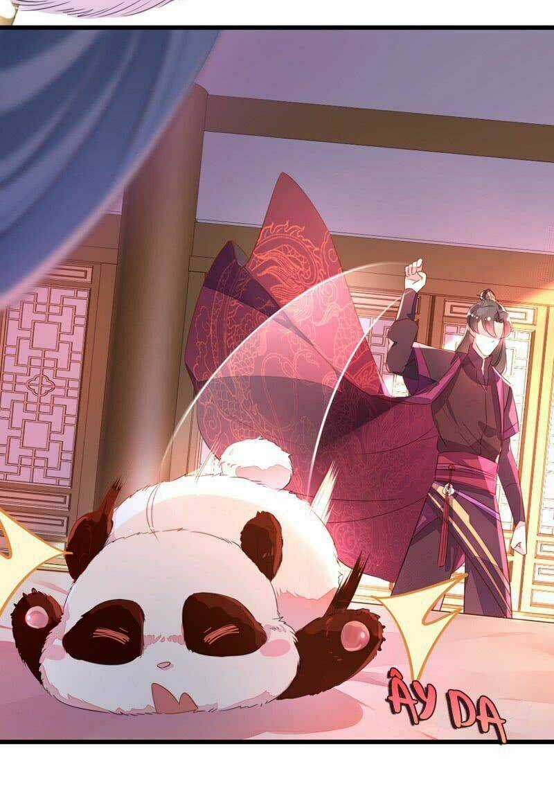 Thiên Thần Gấu Trúc Muốn Được Ôm Chapter 9 trang 9