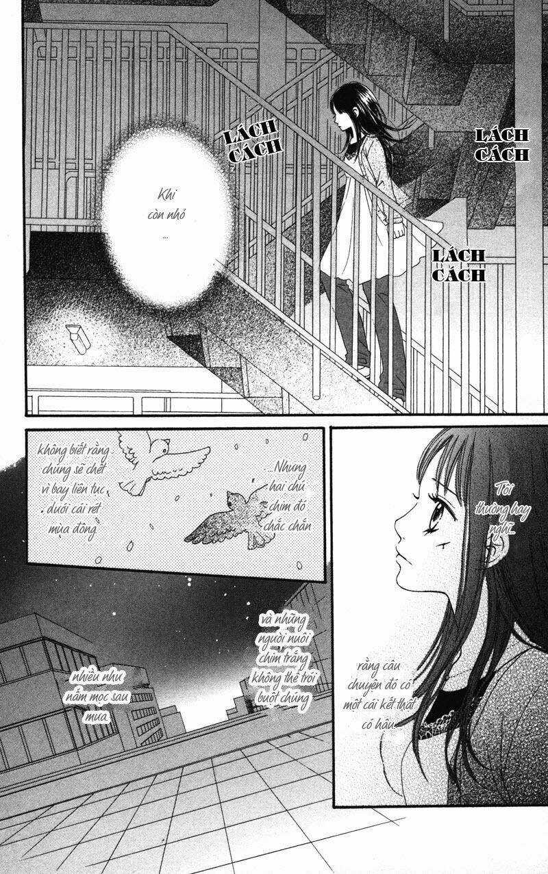 Thiên Thần Gãy Cánh Chapter 3 trang 19