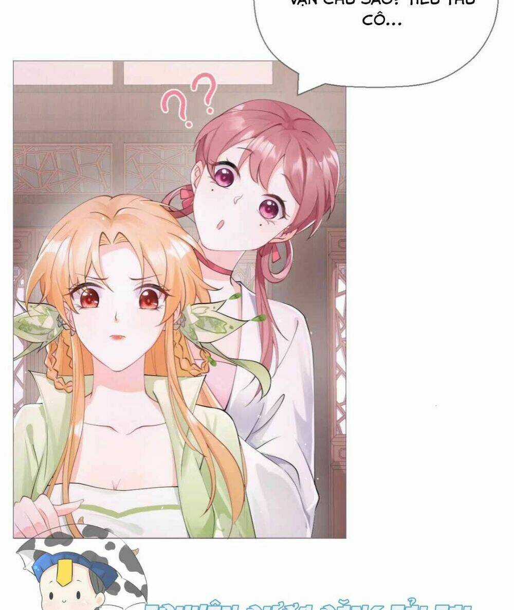 Thiết Lập Ác Nữ Của Tôi Sụp Đổ Rồi Chapter 12 trang 6