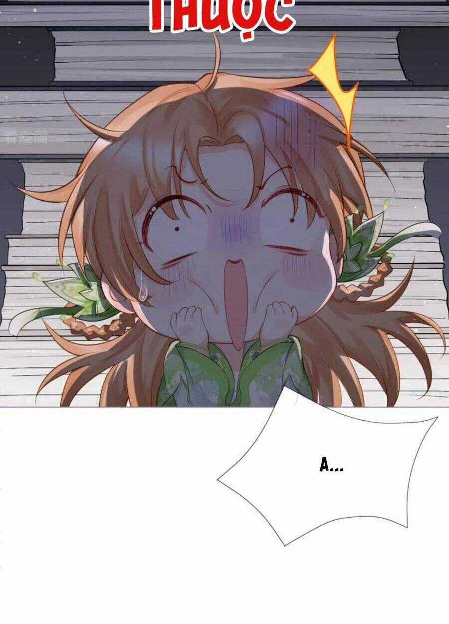 Thiết Lập Ác Nữ Của Tôi Sụp Đổ Rồi Chapter 27 trang 11