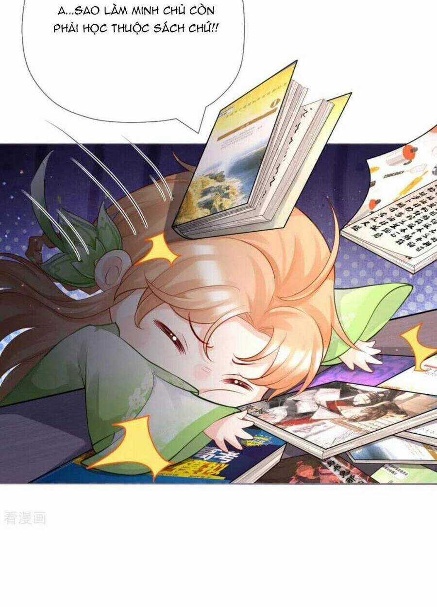 Thiết Lập Ác Nữ Của Tôi Sụp Đổ Rồi Chapter 27 trang 15