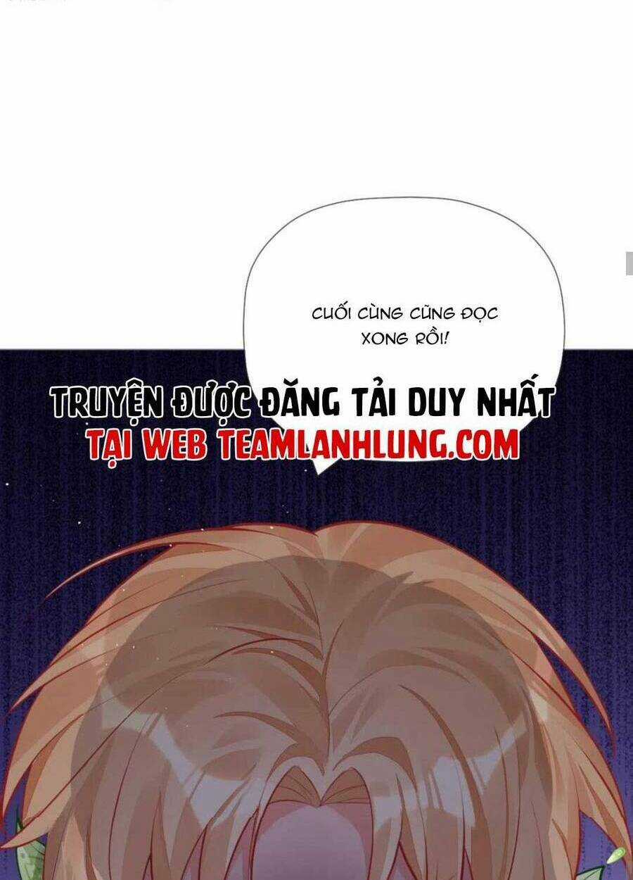 Thiết Lập Ác Nữ Của Tôi Sụp Đổ Rồi Chapter 27 trang 24