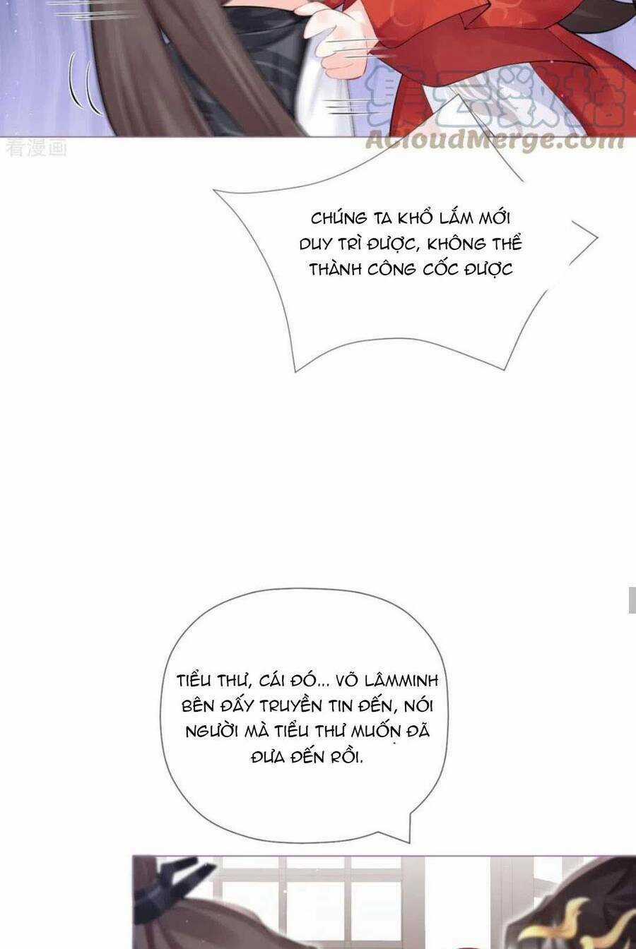 Thiết Lập Ác Nữ Của Tôi Sụp Đổ Rồi Chapter 33 trang 37