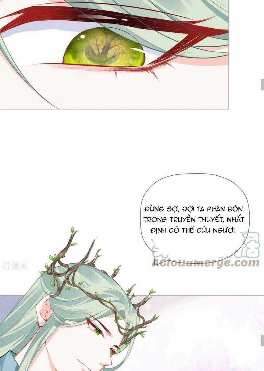 Thiết Lập Ác Nữ Của Tôi Sụp Đổ Rồi Chapter 36 trang 35