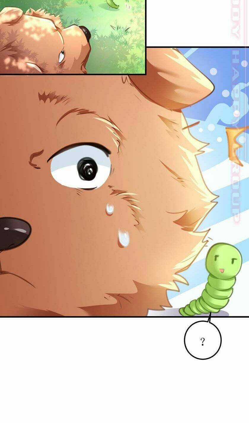 Thiết Lập Nhân Vật Daddy Của Tôi Bị Sụp Đổ Chapter 2 trang 11