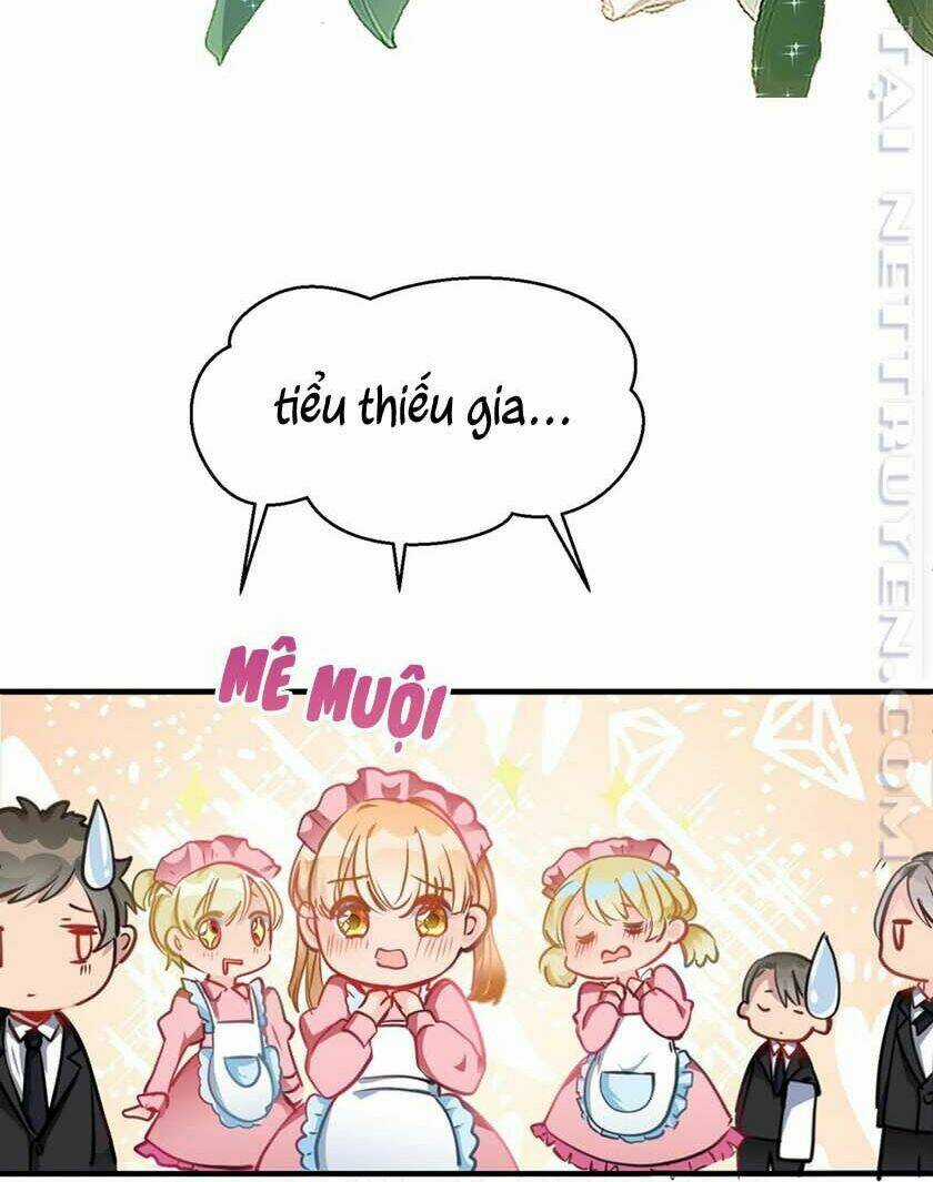 Thiết Lập Nhân Vật Daddy Của Tôi Bị Sụp Đổ Chapter 3 trang 19