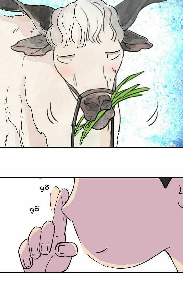 Thiếu Niên Đăng Ba Chapter 2 trang 17