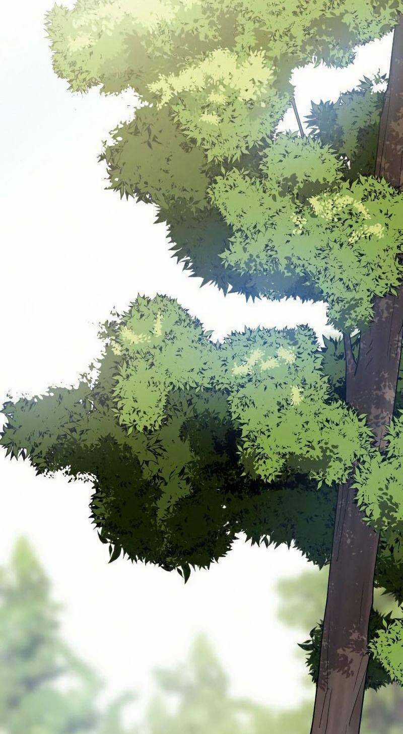 Thiếu Niên Kiếm Sư Chapter 11 trang 1