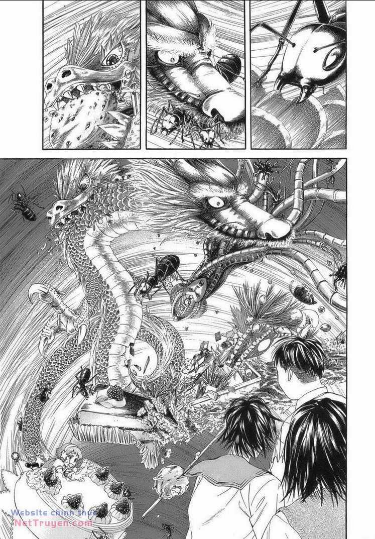 Thiếu Niên Thiếu Nữ Phiêu Lưu Ký Chapter 12 trang 15