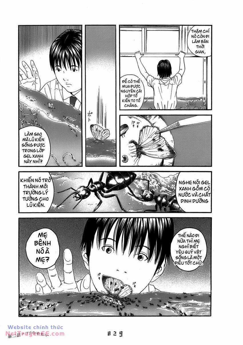 Thiếu Niên Thiếu Nữ Phiêu Lưu Ký Chapter 2 trang 3