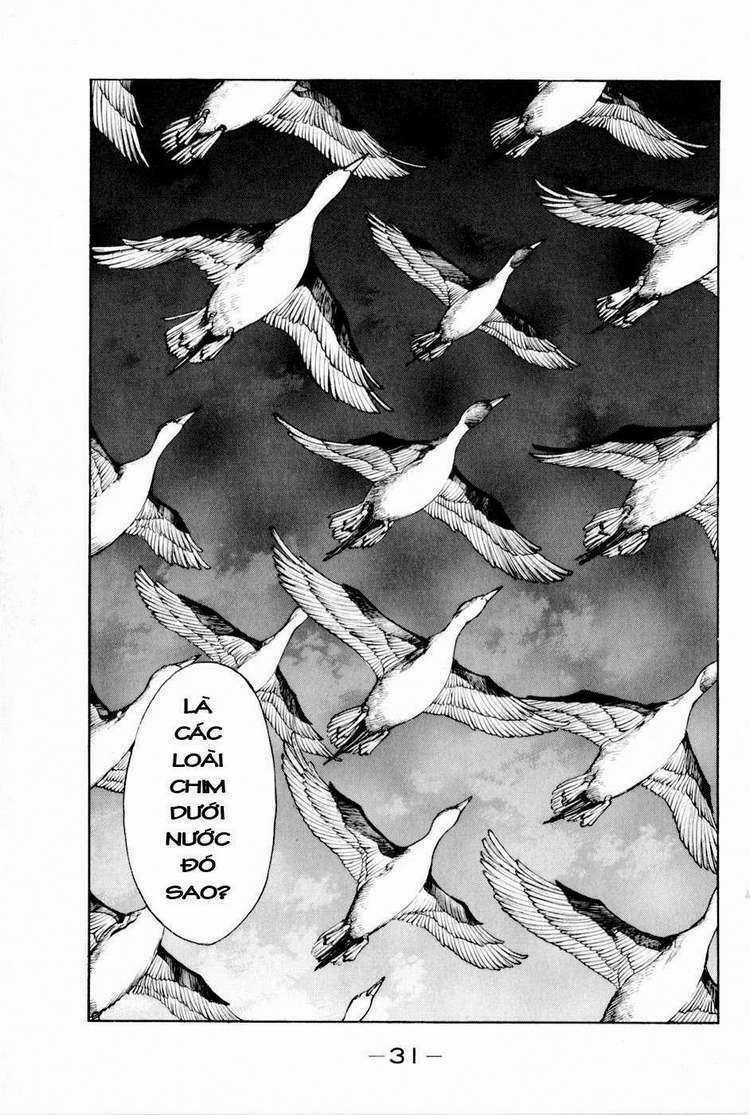 Thiếu niên vương phần 2 Chapter 13 trang 34