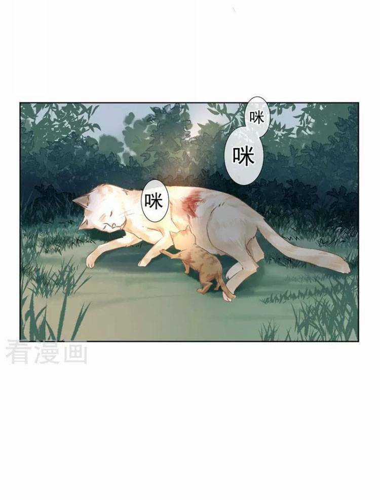 Thiếu Nữ Sấm Sét Chapter 25 trang 23