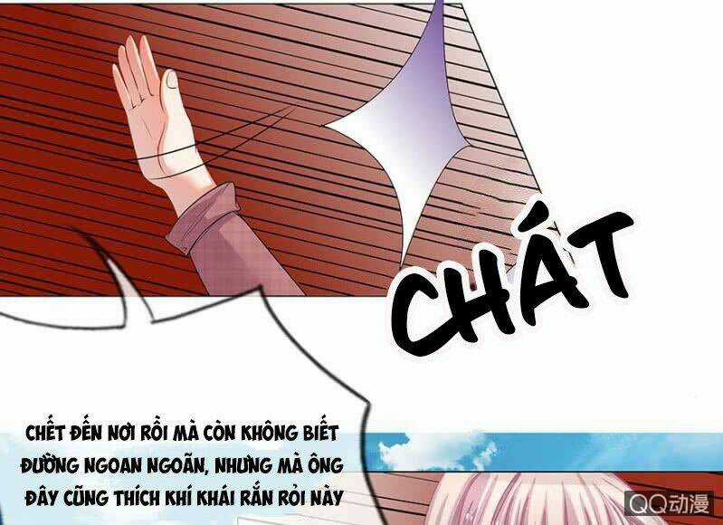 Thiếu Soái Của Tôi Chính Là Manh Như Vậy Chapter 13 trang 15