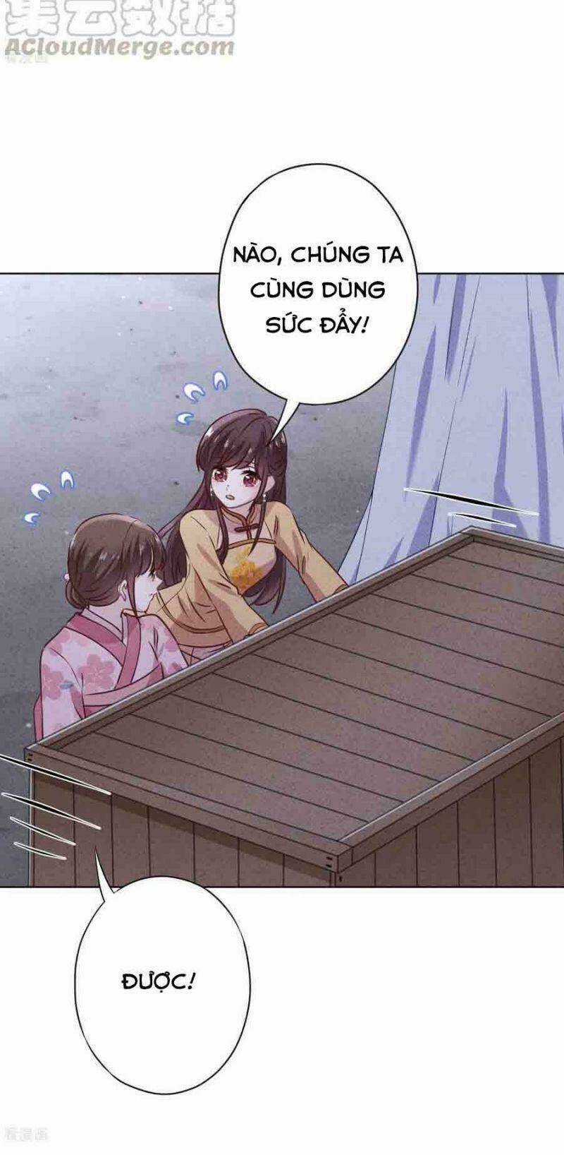 Thiếu Soái, Vợ Anh Muốn Lật Trời! Chapter 147 trang 14