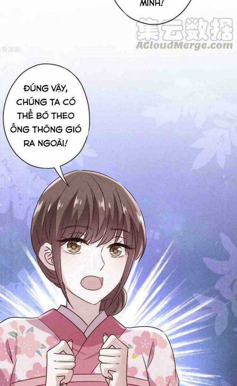 Thiếu Soái, Vợ Anh Muốn Lật Trời! Chapter 147 trang 6
