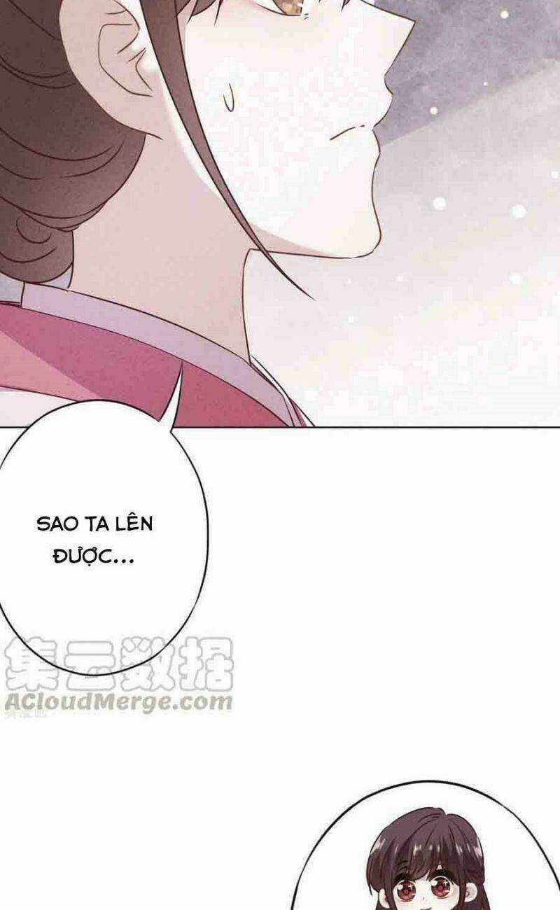 Thiếu Soái, Vợ Anh Muốn Lật Trời! Chapter 147 trang 8