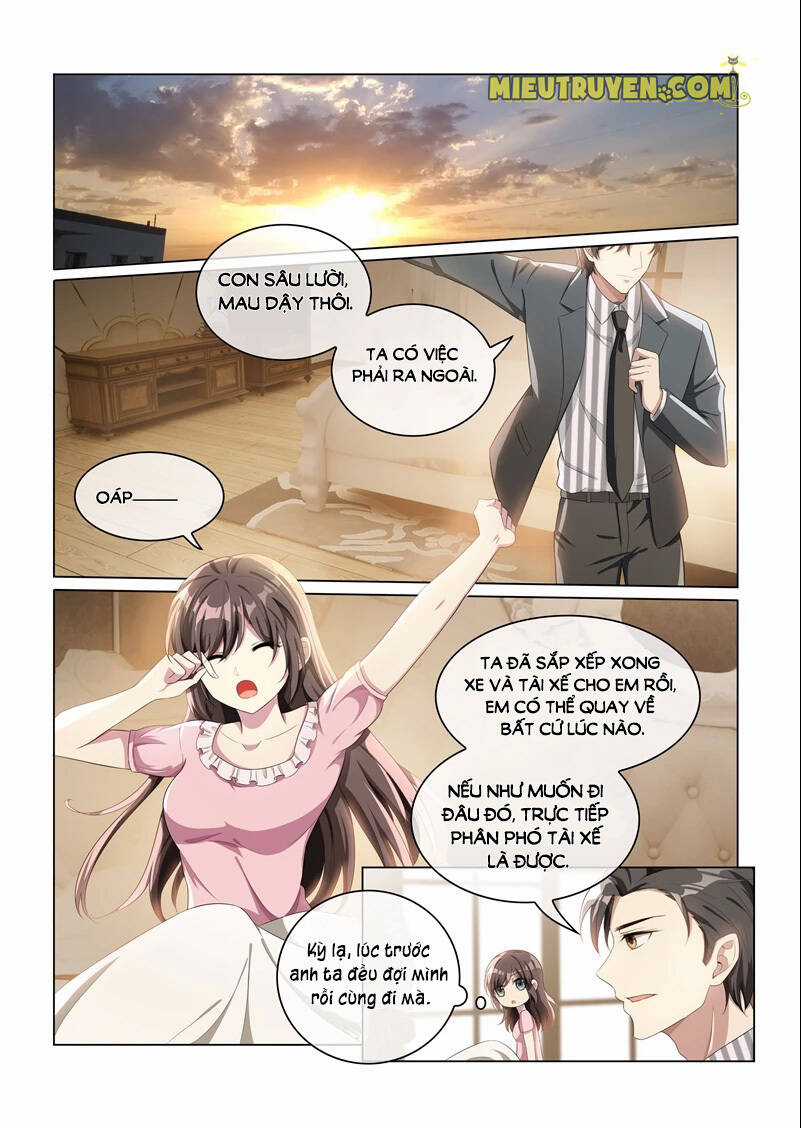 Thiếu Soái! Vợ Ngài Lại Bỏ Trốn Chapter 158 trang 6