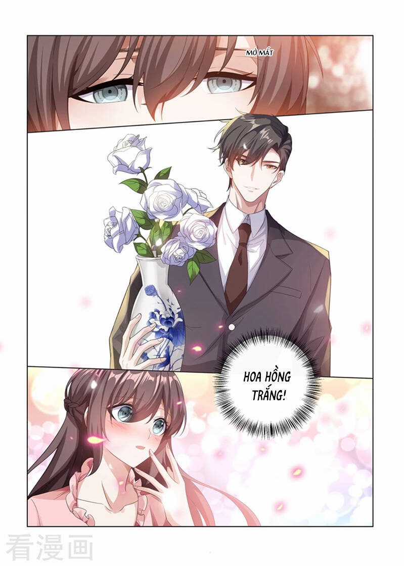 Thiếu Soái! Vợ Ngài Lại Bỏ Trốn Chapter 185 trang 7