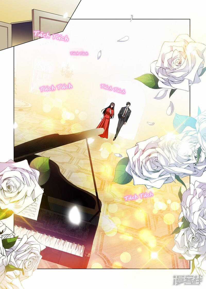 Thiếu Soái! Vợ Ngài Lại Bỏ Trốn Chapter 189 trang 4