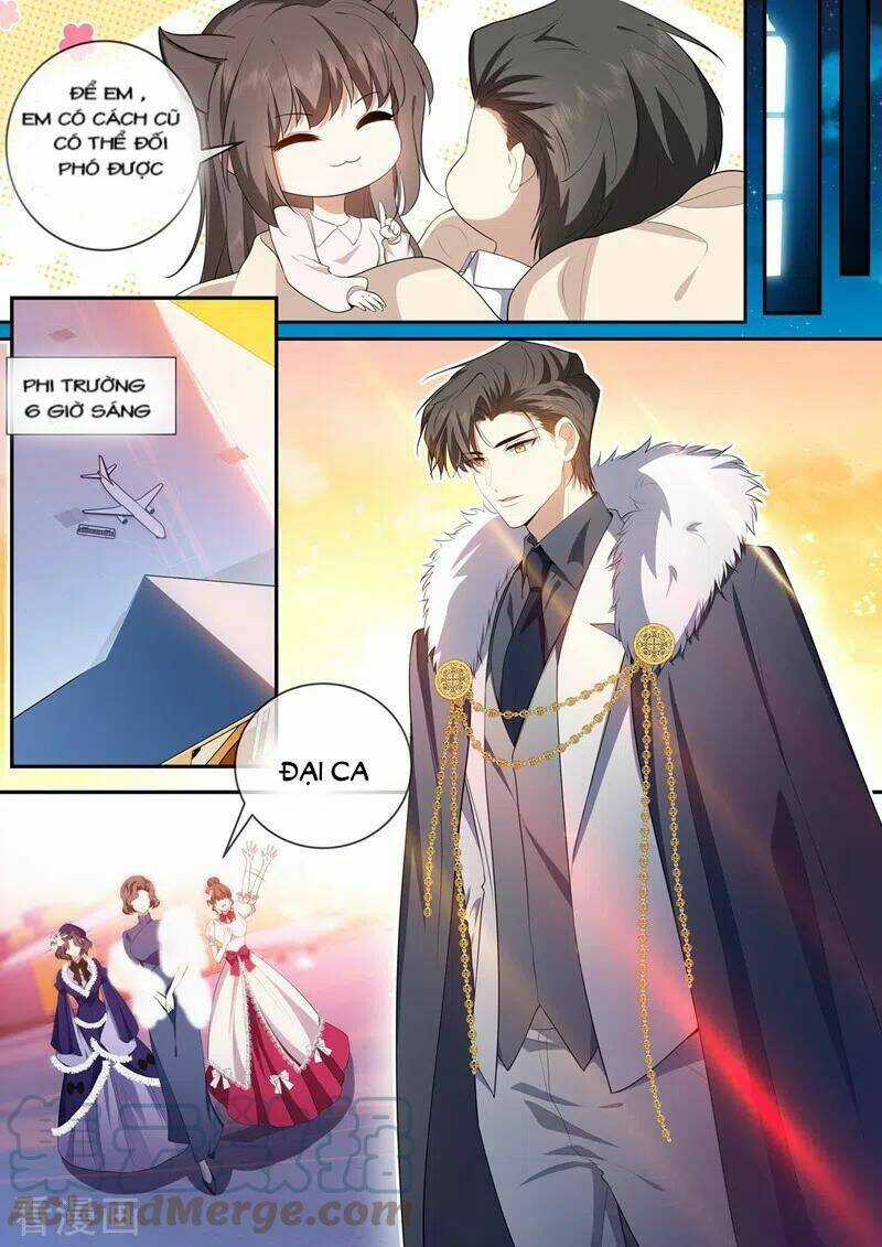 Thiếu Soái! Vợ Ngài Lại Bỏ Trốn Chapter 435 trang 1