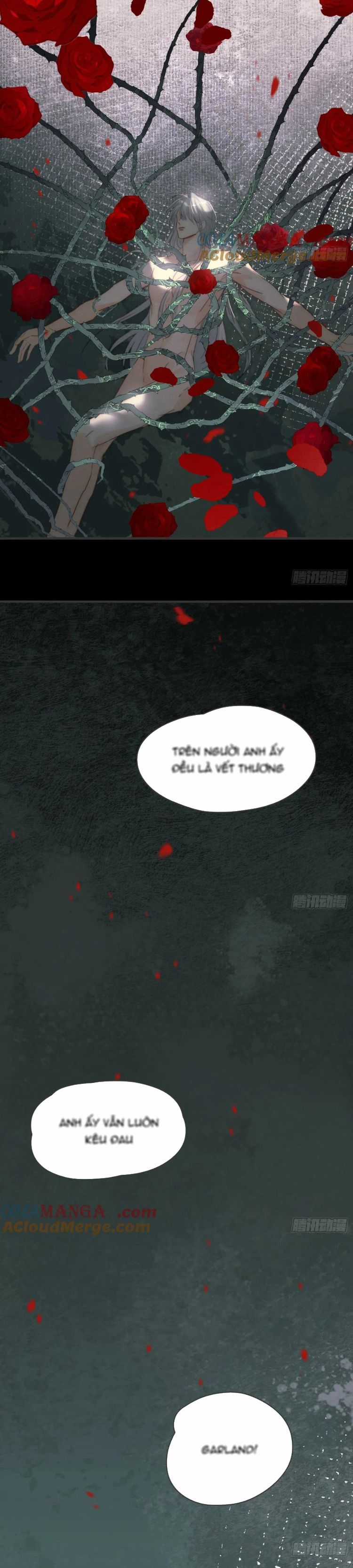 Thỉnh Cùng Ta Đồng Miên-Xin Hãy Ngủ Cùng Ta Chapter 181 trang 4