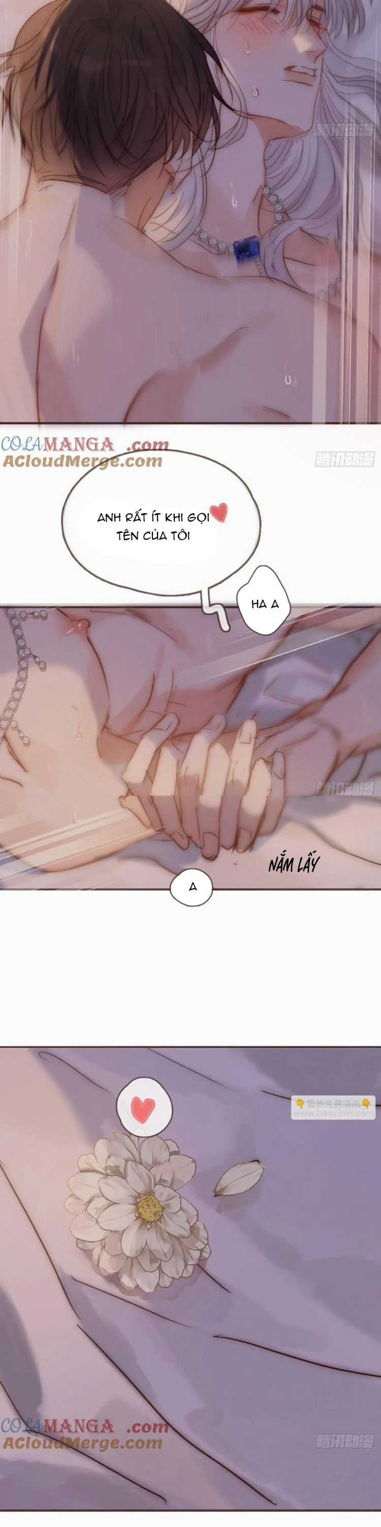 Thỉnh Cùng Ta Đồng Miên-Xin Hãy Ngủ Cùng Ta Chapter 196 trang 11