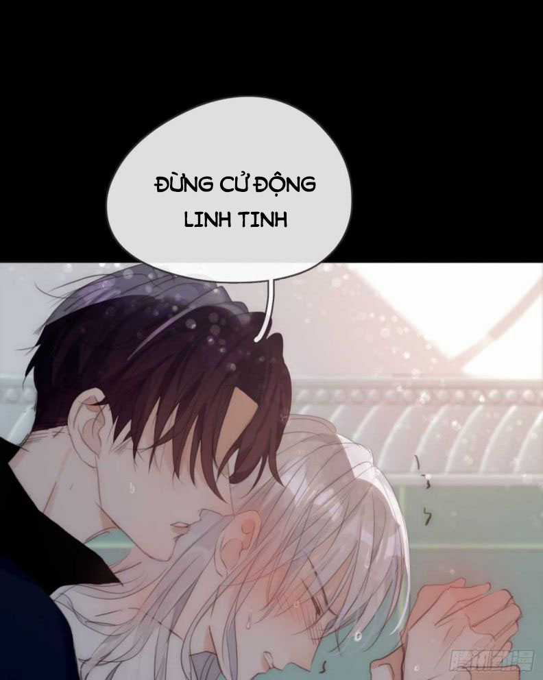 Thỉnh Cùng Ta Đồng Miên-Xin Hãy Ngủ Cùng Ta Chapter 48 trang 48