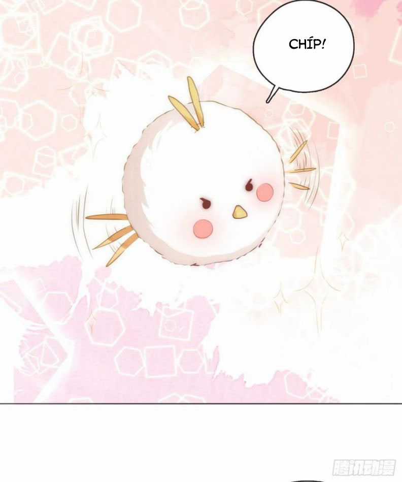 Thỉnh Cùng Ta Đồng Miên-Xin Hãy Ngủ Cùng Ta Chapter 55 trang 11