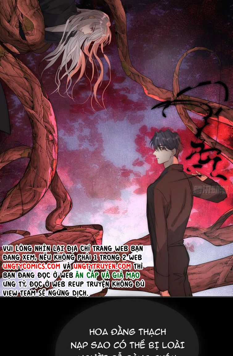 Thỉnh Cùng Ta Đồng Miên-Xin Hãy Ngủ Cùng Ta Chapter 78 trang 37